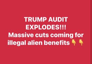 JUST IN: Trump Orders Major Audit To Block Illegals From Cashing In On Benefits